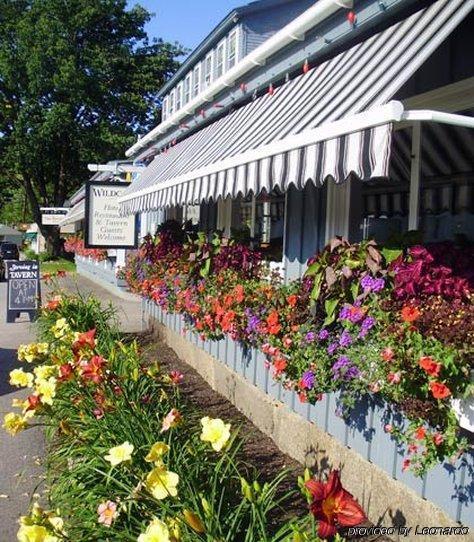 Wildcat Inn And Tavern Jackson Exterior photo